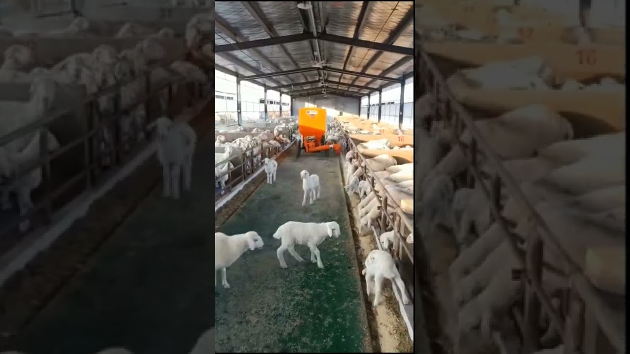 goat farm trolley
