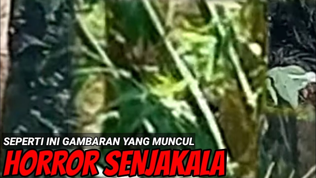🔴Aku Mengintip Di Sini Bekas Sejarah Masa Lalu