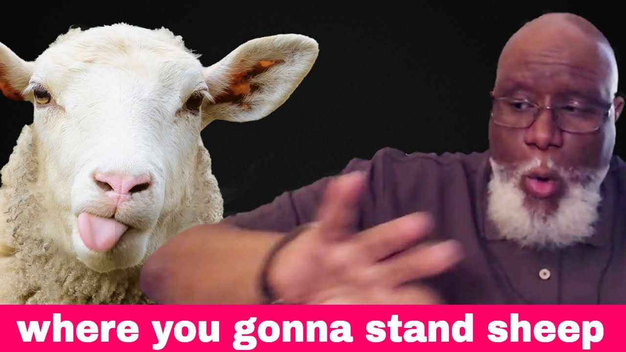 Sheep & Goats Prophecy: Where Will You Stand?