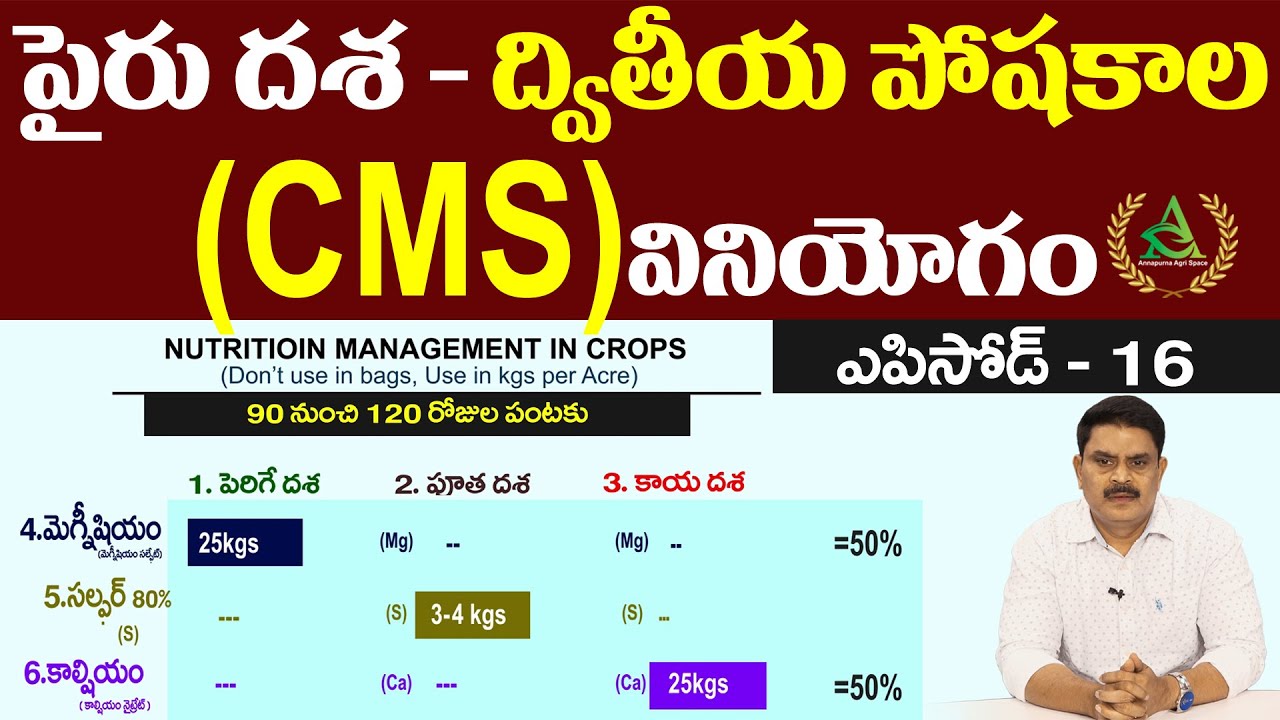 ఎపిసోడ్ 16 _ పైరు దశ - ద్వితీయ పోషకాలు (CMS) వినియోగం | Annapurna agri space | Agriculture in Telugu