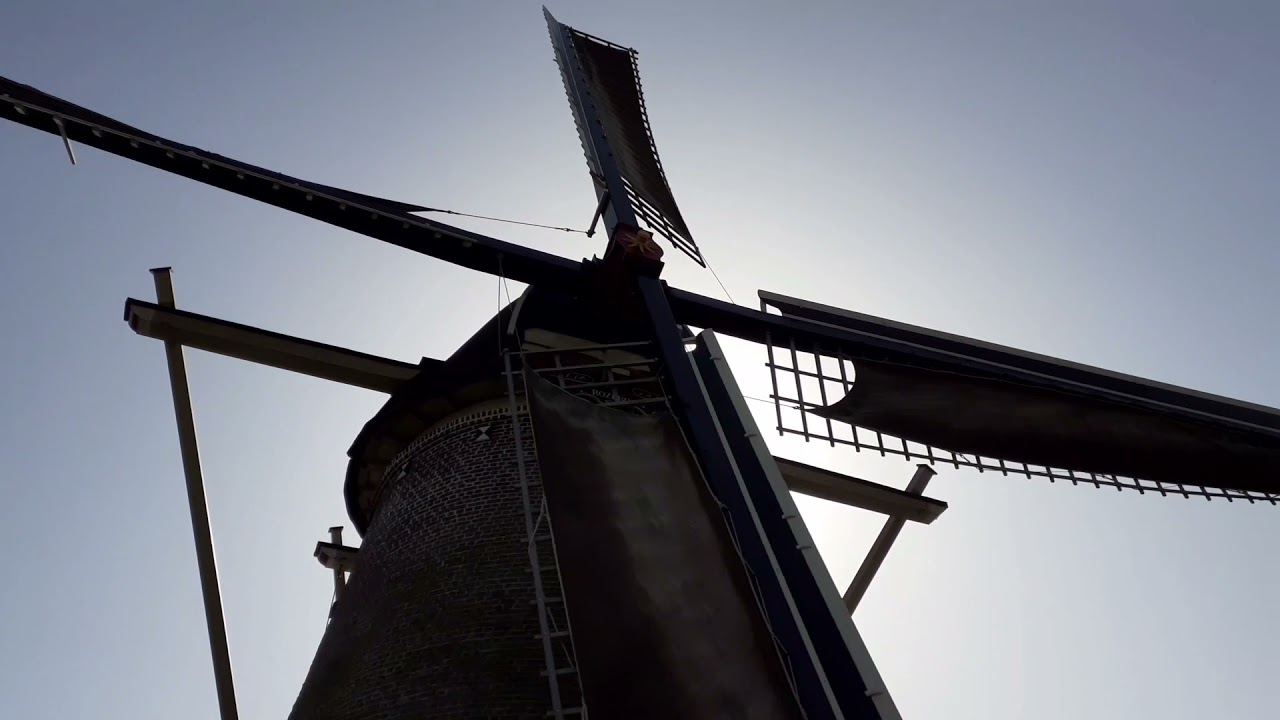 Molen De Rozeboom in Krabbendijke draait