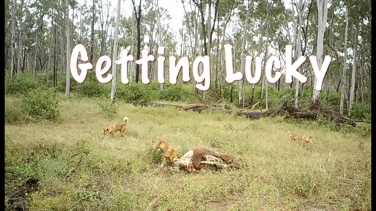 Getting Lucky