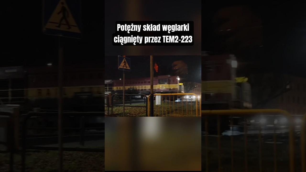 TEM2-223 