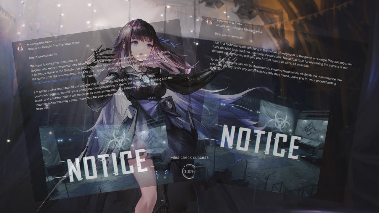 PGR Echo Aria Woes