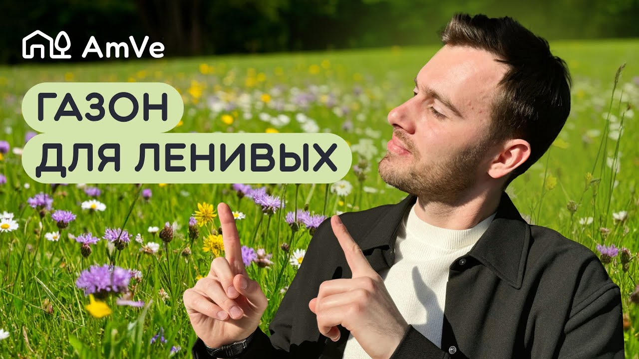 Газон, который не нужно косить. Реально ли?