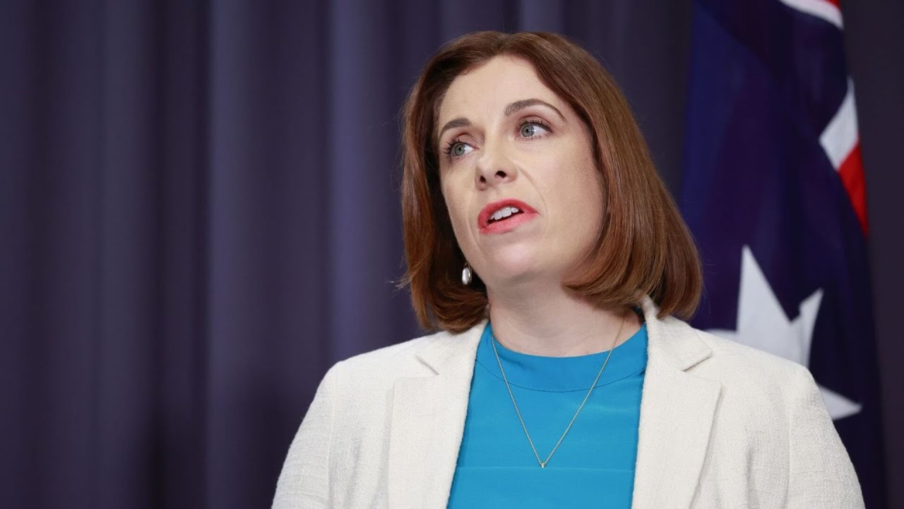 Anika Wells is ‘trying to defend’ her ‘exorbitant expenses’