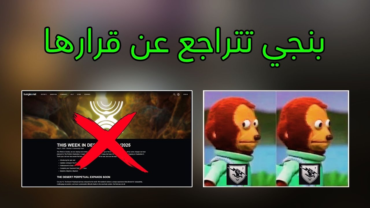 دستني 2 : بنجي تتراجع عن قرارها بعد ردود الاعبين