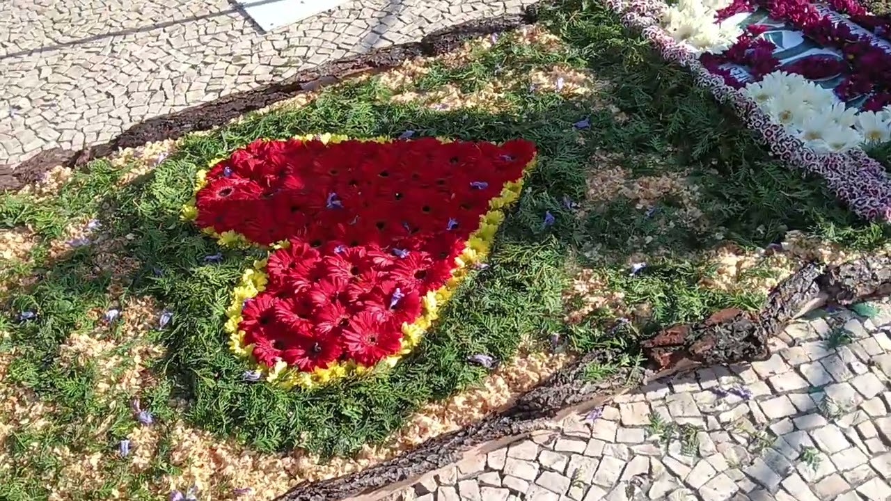 FESTA da FLOR Cortejo Infantil  Muro da Esperan&ccedil;a 2025 5
