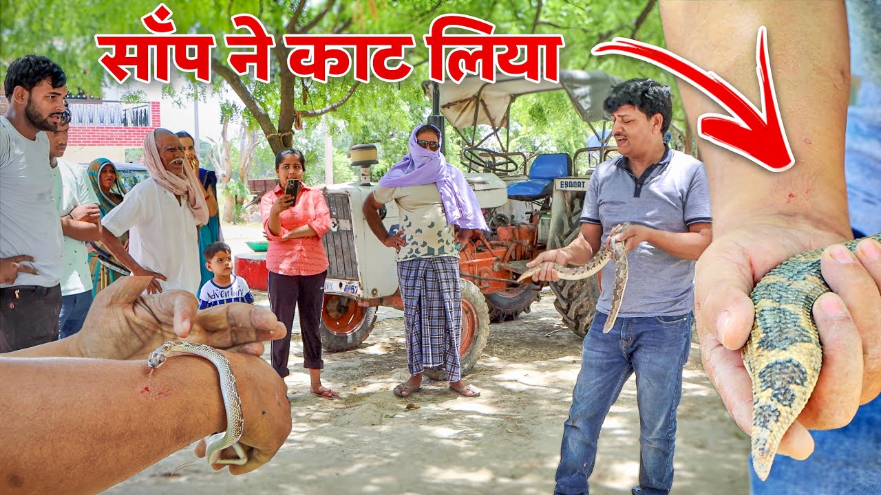 जिस साँप की जान बचाई उसी ने Guddu Maurya सर्पमित्र को काट लिया,फिर साँप के साथ Guddu जी ने जो किया!