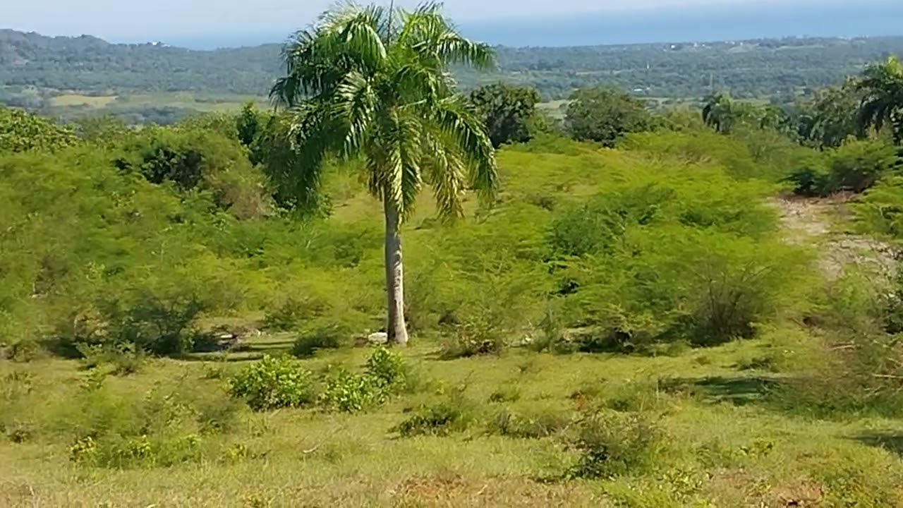 #Land for sale Plata Plata# Dominican Republic #El Cupey #Golden eagle homestead #Lots #Building