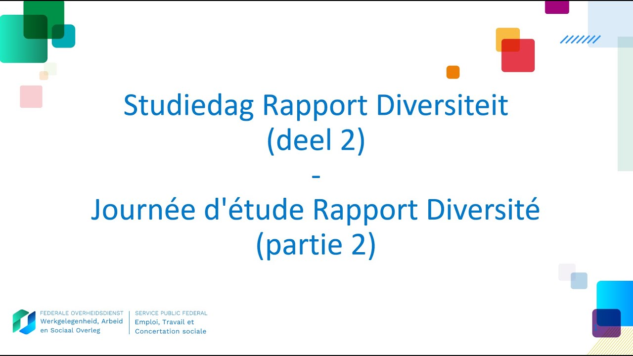Rapport Diversiteit - Rapport Diversité (deel 2 - partie 2)