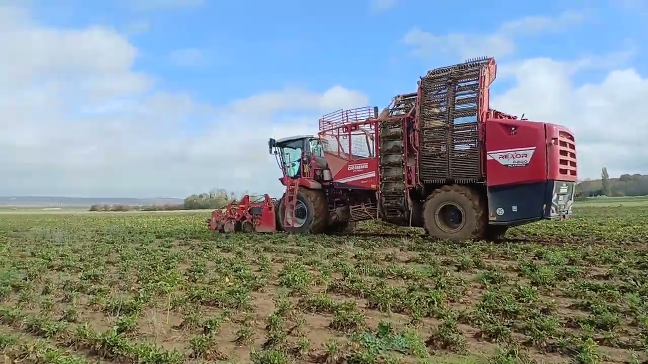 Récolte des betteraves 2025🙂