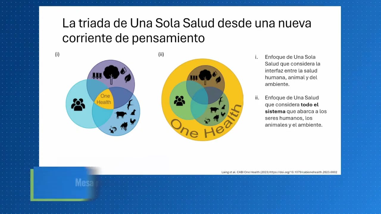 Día 4 - Semana de la Epidemiología 2025