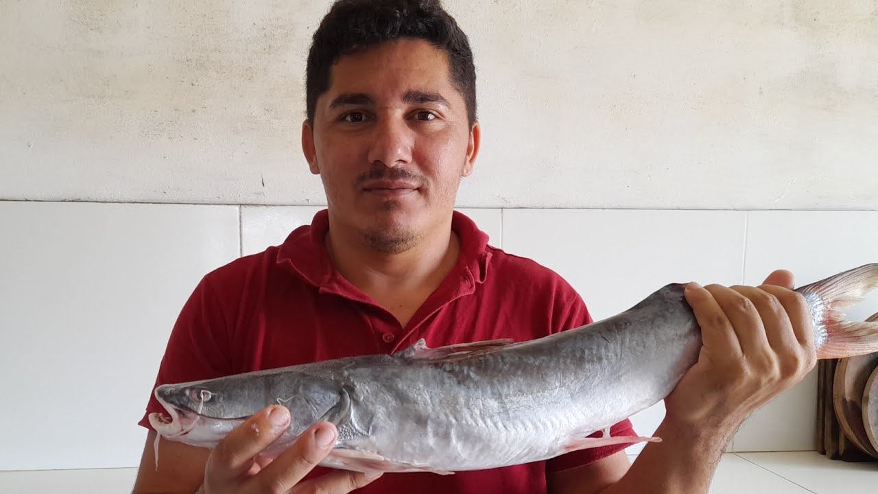 Moqueca de peixe Bagre /  ficou uma delícia