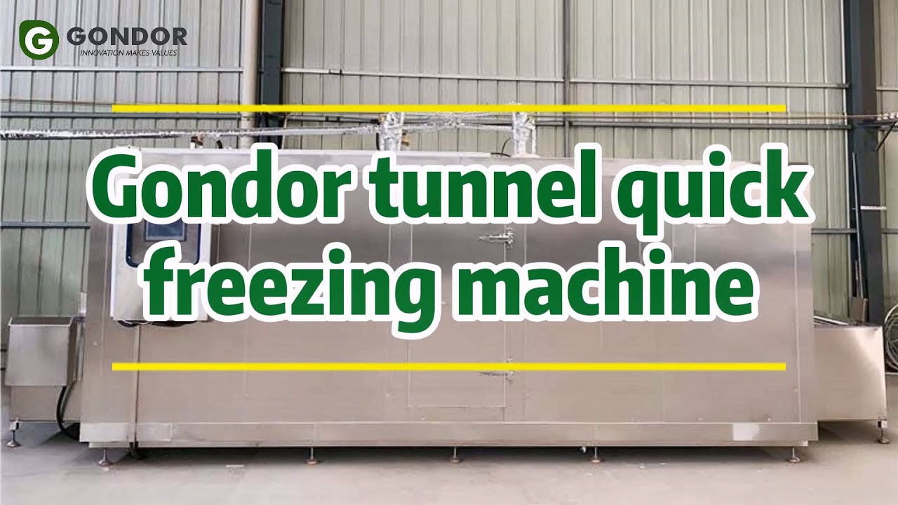 Flash Freeze Food in MINUTES! ❄️⚡️ IQF Tunnel Freezer for Perfect Preservation
