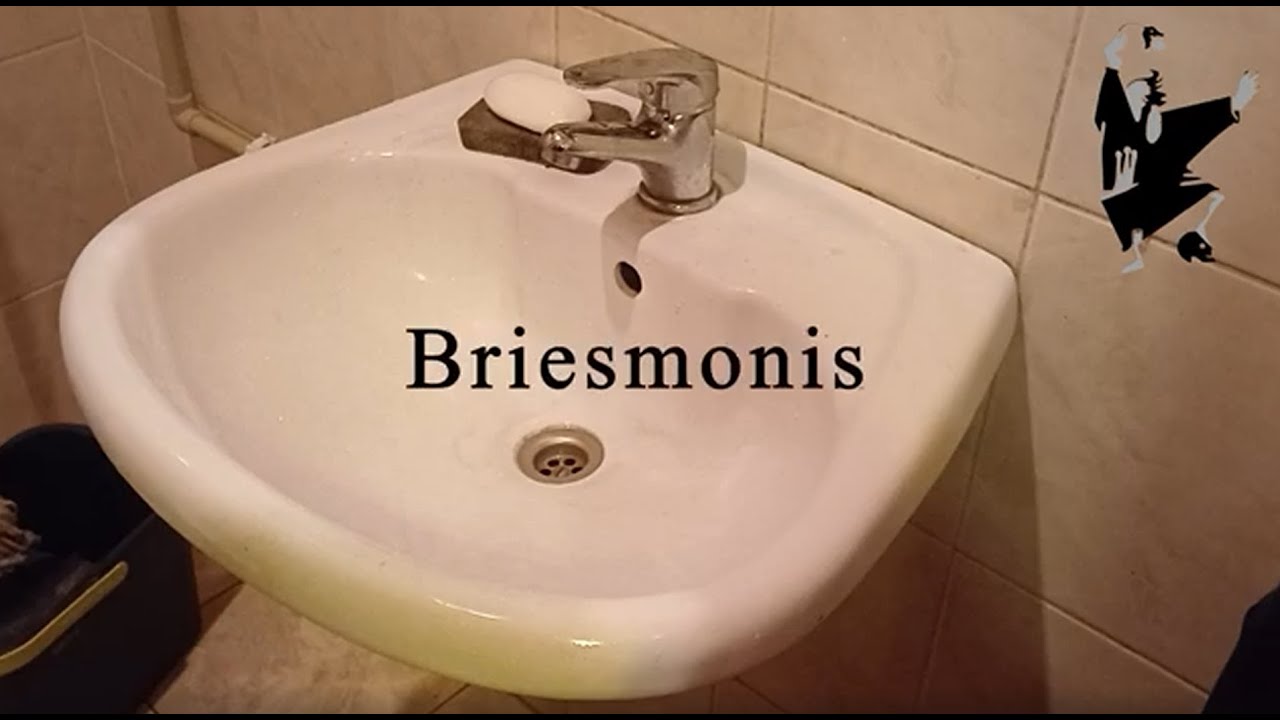 Briesmonis