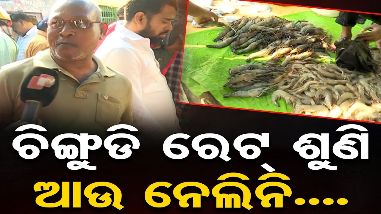 ଚିଙ୍ଗୁଡି ରେଟ୍ ଶୁଣି ଆଉ ନେଲିନି..|| Fish Market Bhubaneswar || Chhadakhai 2024 || Odisha Reporter