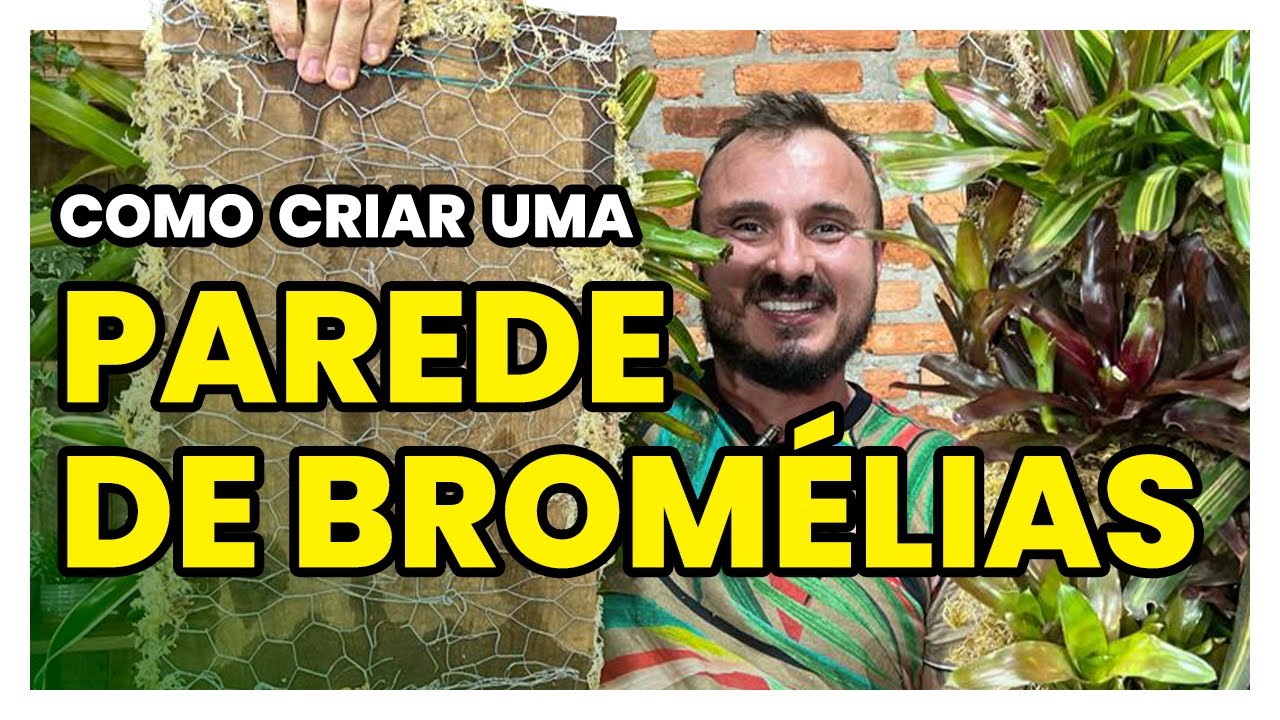 Como criar uma PAREDE de BROMÉLIAS