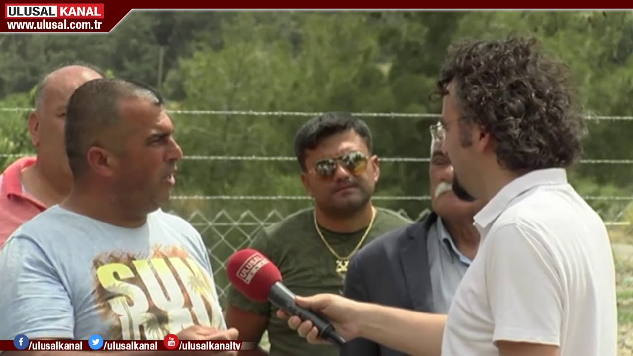 Dere yatağı işgal edildi, çam ağaçları söküldü
