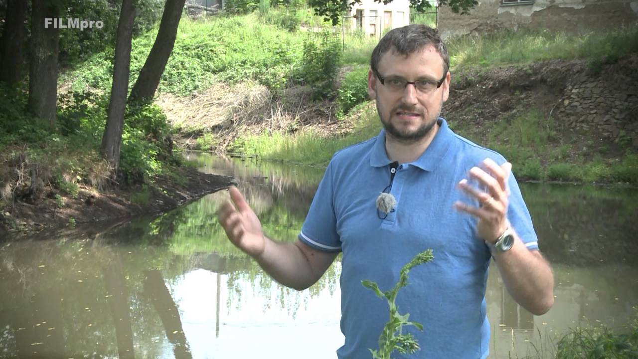 Tvrz na ostrově v Soběticích