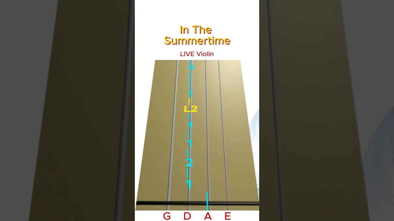IN THE SUMMERTIME 🌞🎸 — LIVE Violin Play-Along | Animated Violin TAB