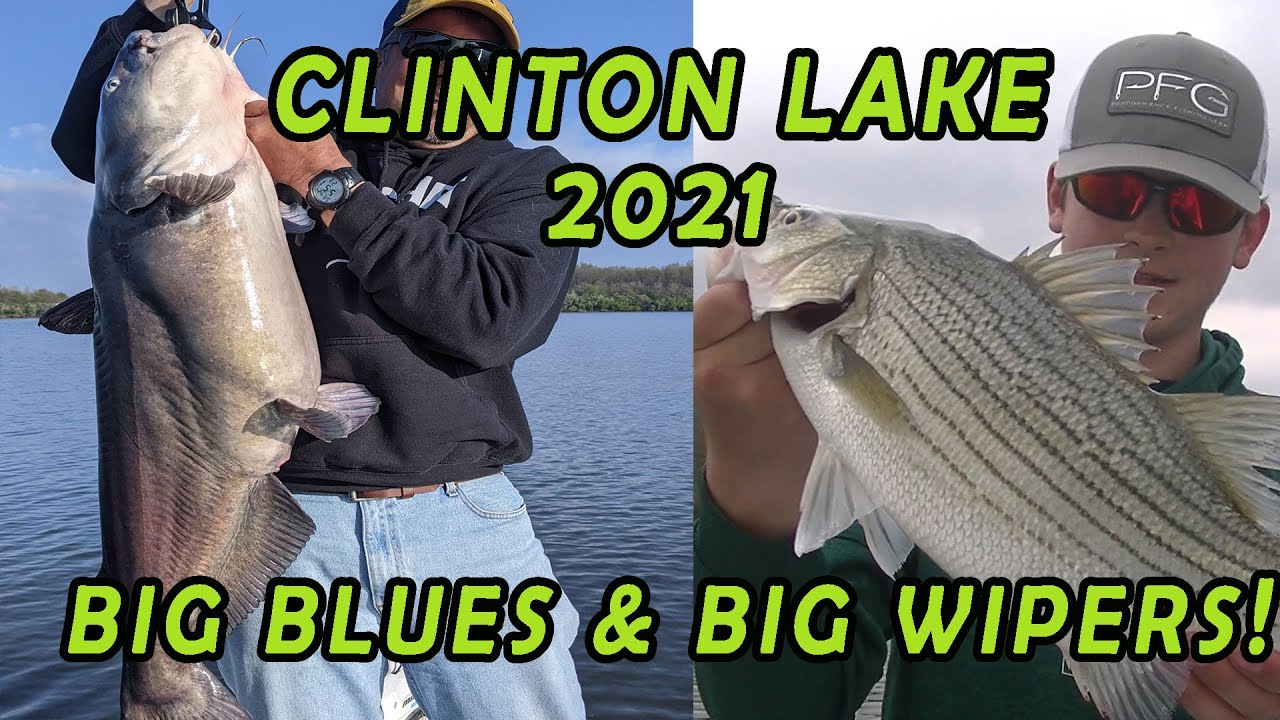 Clinton lake - Big Blues, Wipers and some walleyes too!