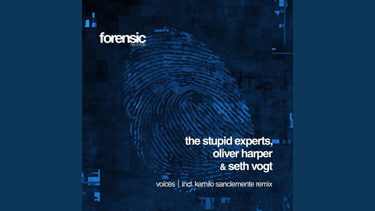 Voices (Kamilo Sanclemente Remix)