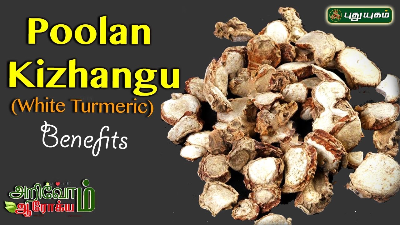 சரும பிரச்சினையை போக்கும் பூலாங்கிழங்கு ..| White Turmeric (Zedoary) Benefits | EP 61