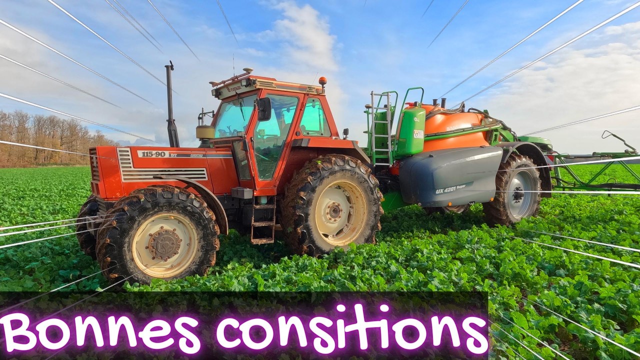 Herbicide colza ! - 2025