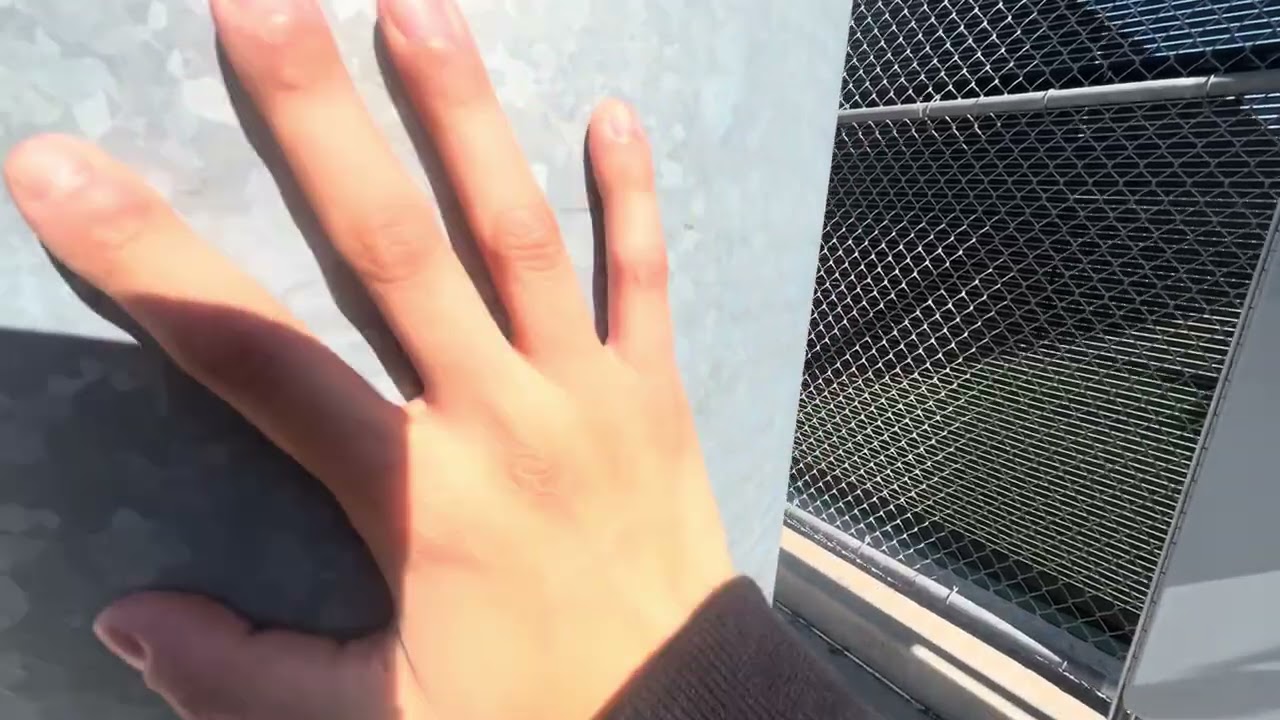 Public ASMR at a Baseball field