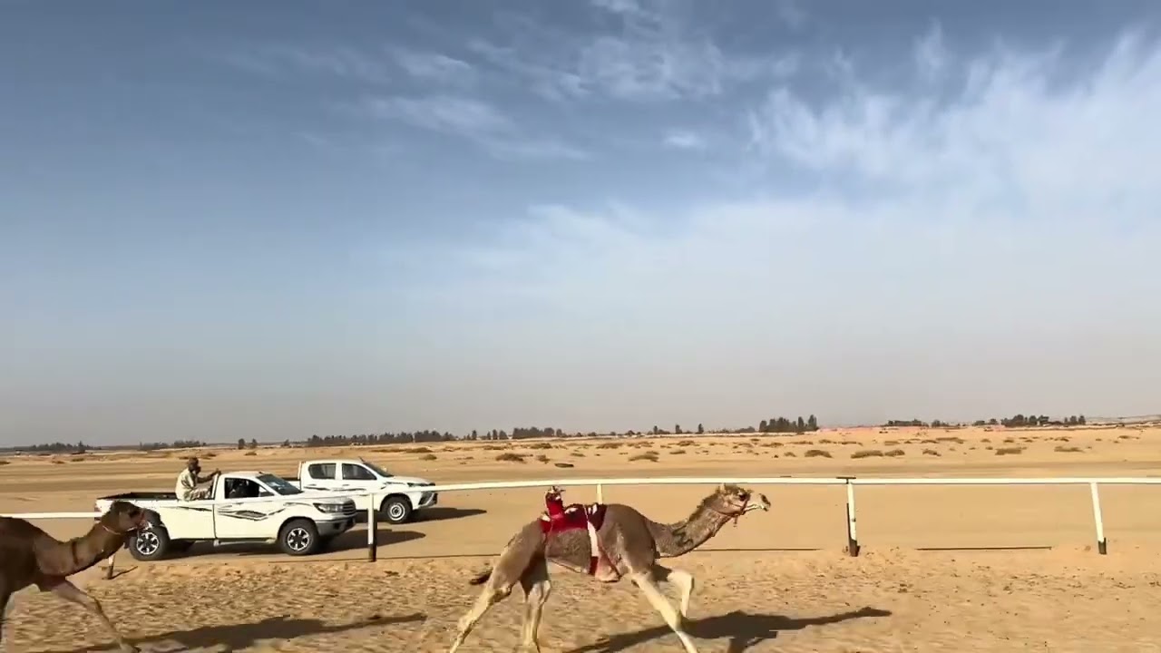 قرناس براهيم السراب الشراري
