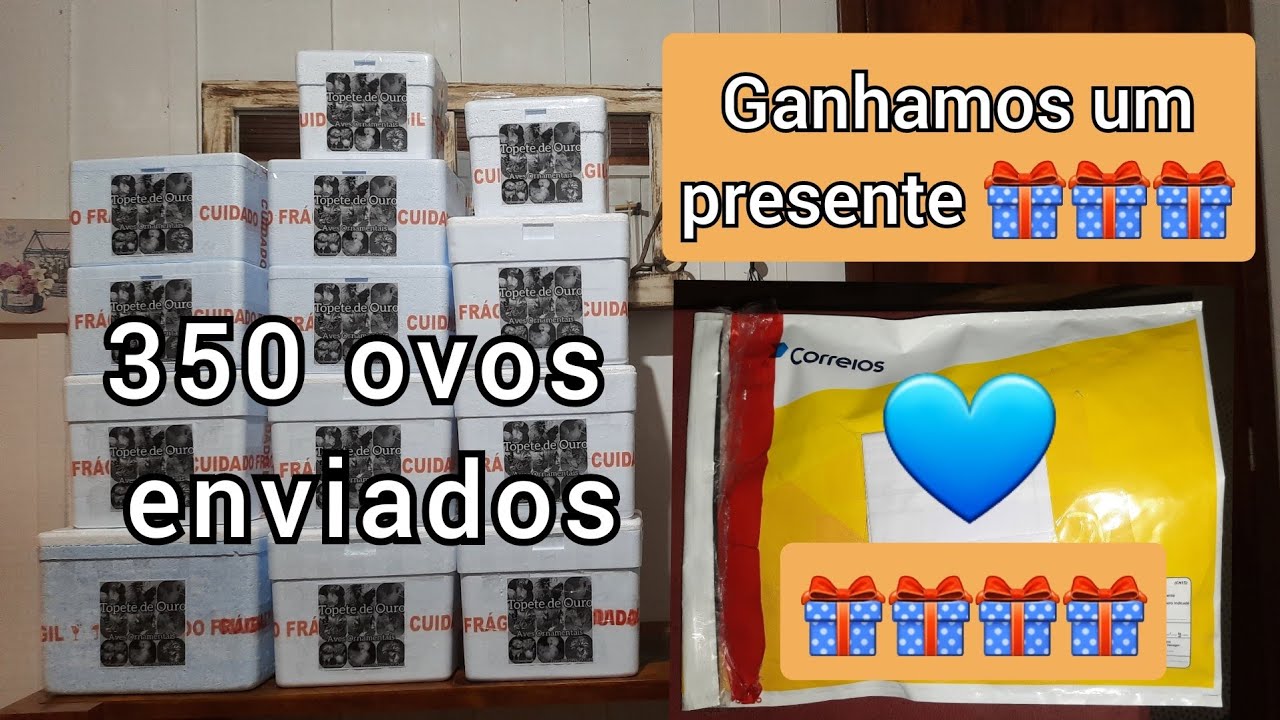 350 ovos enviados - recorde de  vendas - Ganhamos um presente 🎁