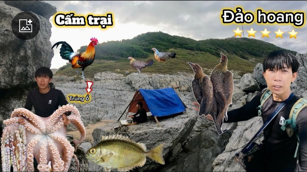 50h cắm trại đặt bẫ’y trên đảo phát hiện gà rừng rặc |lặng biển trúng ổ bạch tuột |bào ngư,…