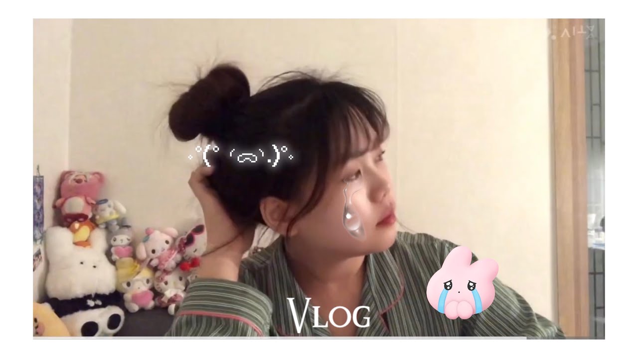 취준정병말기 istp의 눈물 또르르˚´″°³о 일상브이로그 