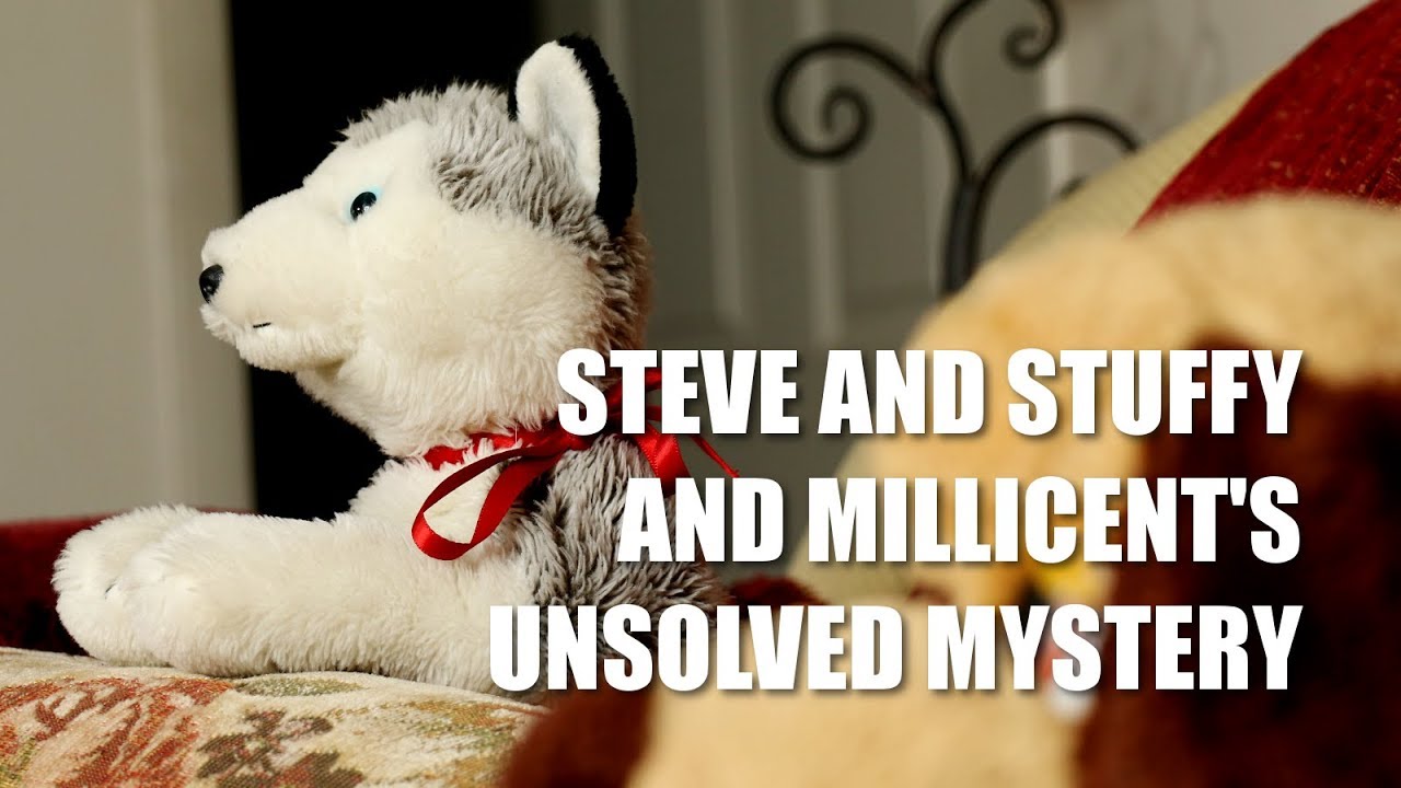 Steve and Stuffy and Millicent's Unsolved Mystery