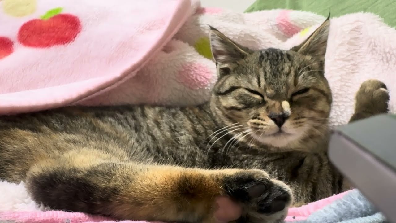 眠くなる3分