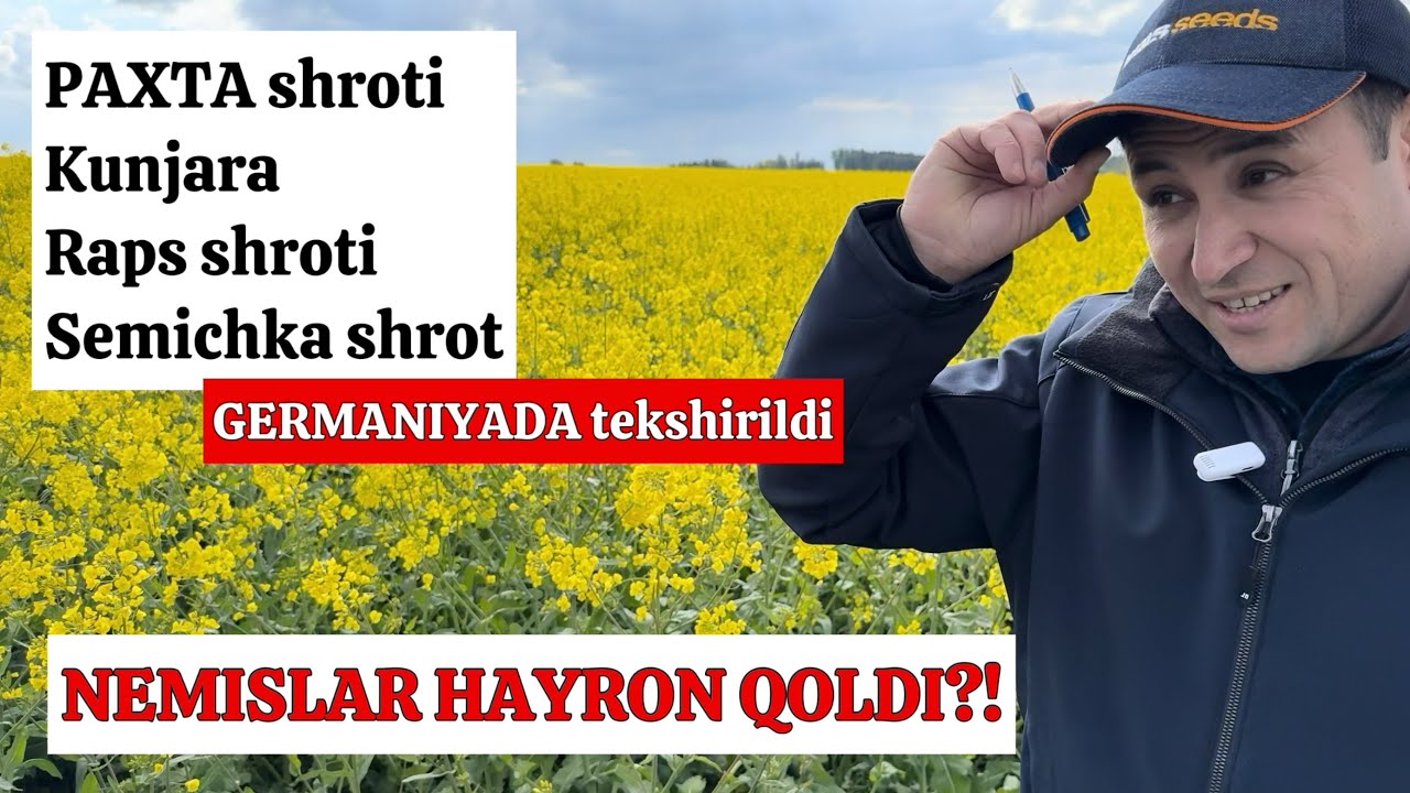 Shrot, kunjara va semichka Germaniyada tekshirildi. Tahlil natijalari #idealagrar #chorva #ozuqa