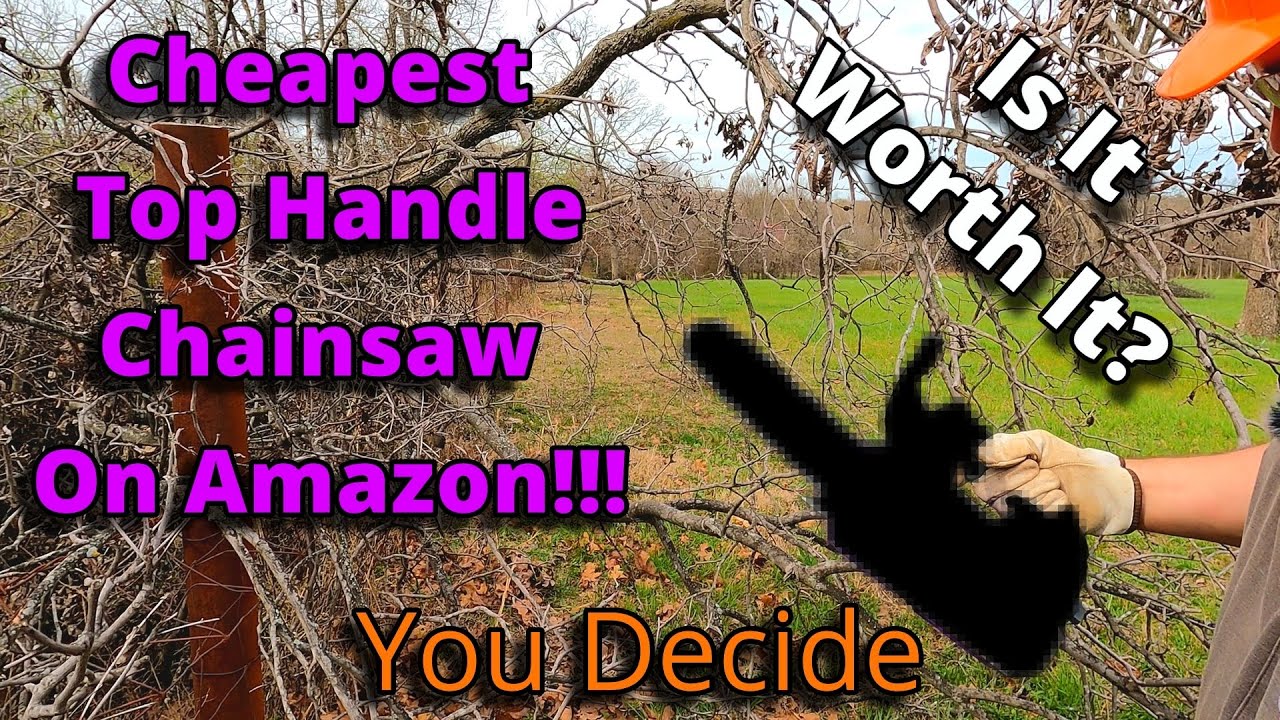 I Bought The Cheapest Top Handle Chainsaw On Amazon