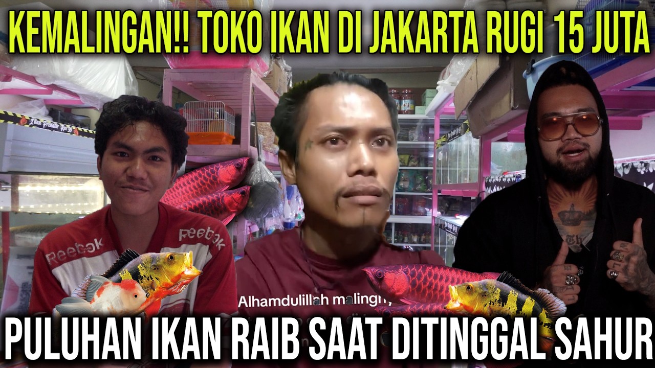 KEMALINGAN!! TOKO IKAN DI JAKARTA RUGI 15 JUTA, PULUHAN IKAN RAIB SAAT DITINGGAL SAHUR