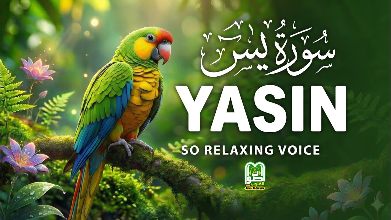 🌙 Surah Yasin سورة يس | Emotional & Soul-Healing Tilawat | A Journey to Inner Peace Aswat Al-Quloob