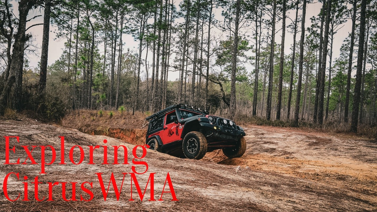 Citrus WMA 03.092026 #adventure #jeepadventures #jeepoverland