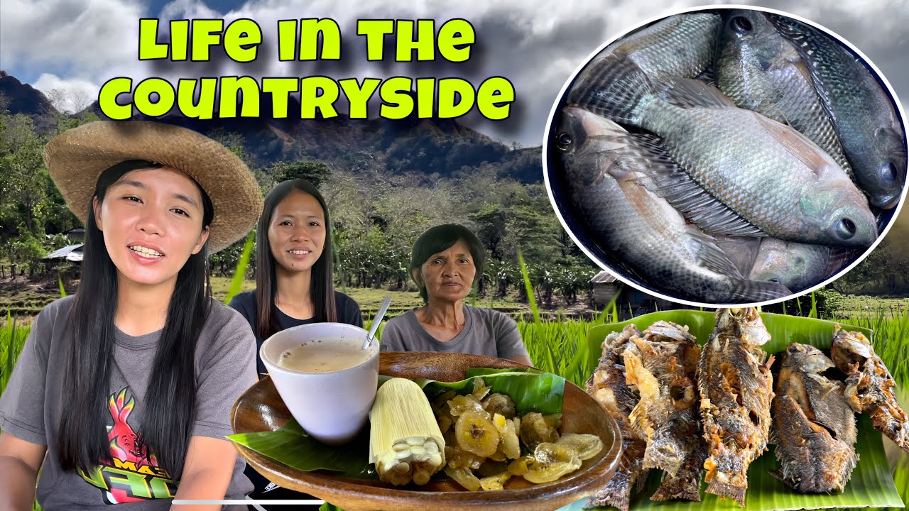 EP—549 | Our Life in the Farm | Harvest,Catch and cook | Life in the province