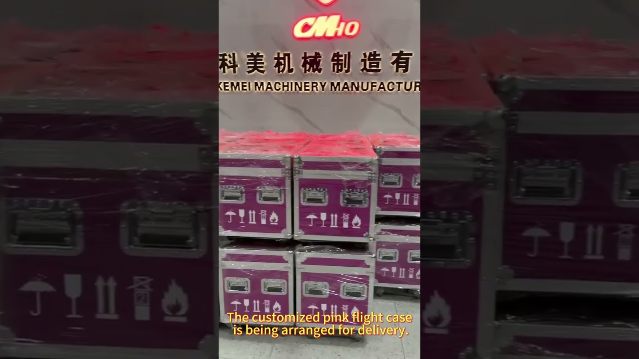 Stage electric hoist, customized pink flight case for customers