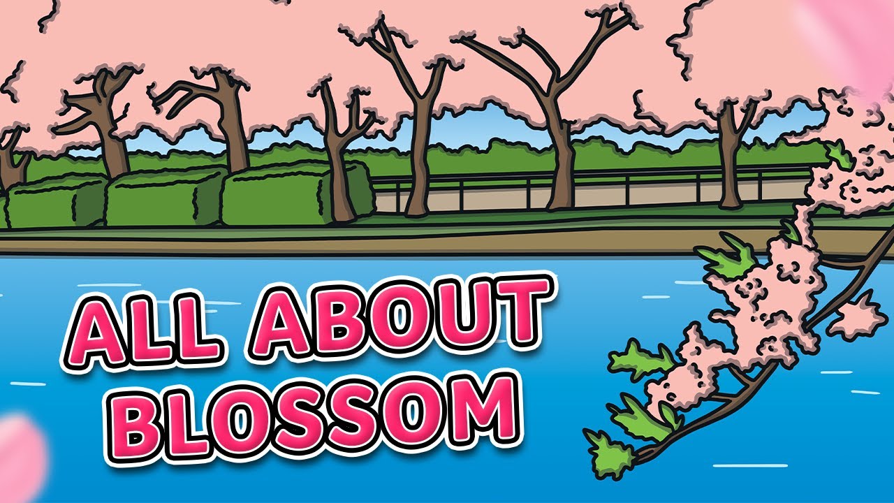 All About Blossom for Kids! | Spring Blossom | Cherry Blossom