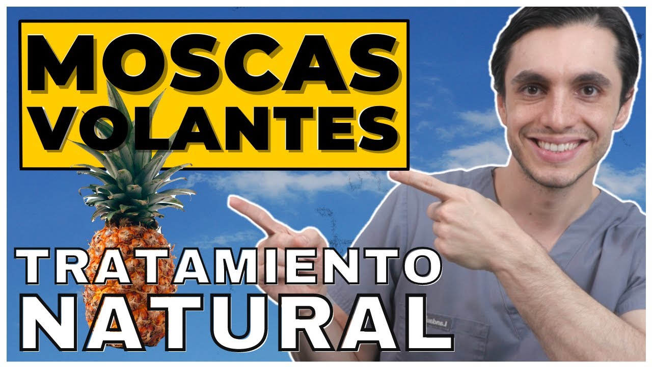 Tratamiento NATURAL contra las MOSCAS VOLANTES o Desprendimiento de V&iacute;treo | Funciona la Pi&ntilde;a?
