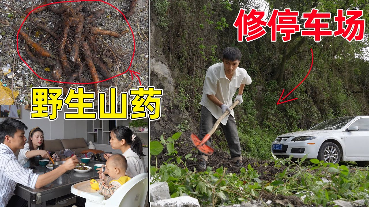 李俊一个人修停车场共大家使用，无意中挖到野生山药，儿子特别喜欢吃