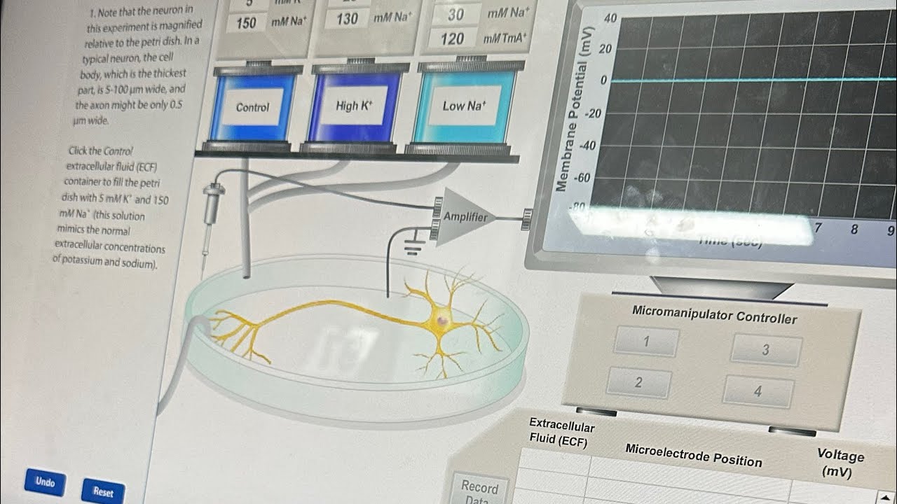 PRAKTIKUM NEUROFISIOLOGI ACT 1 - KEDOKTERAN UNSRI