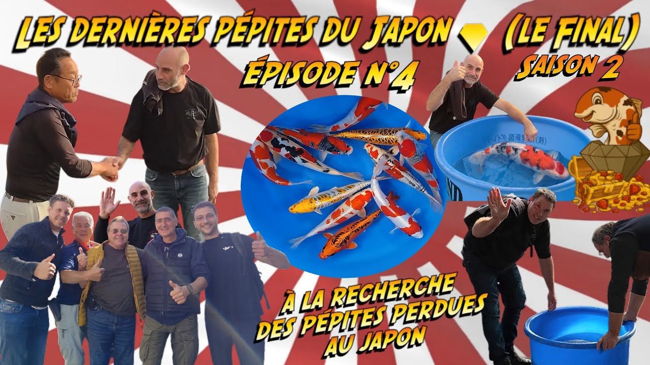 Koï d’Or Bassin – Les dernières pépites du Japon 💎 Saison 2 Épisode 4 – Final