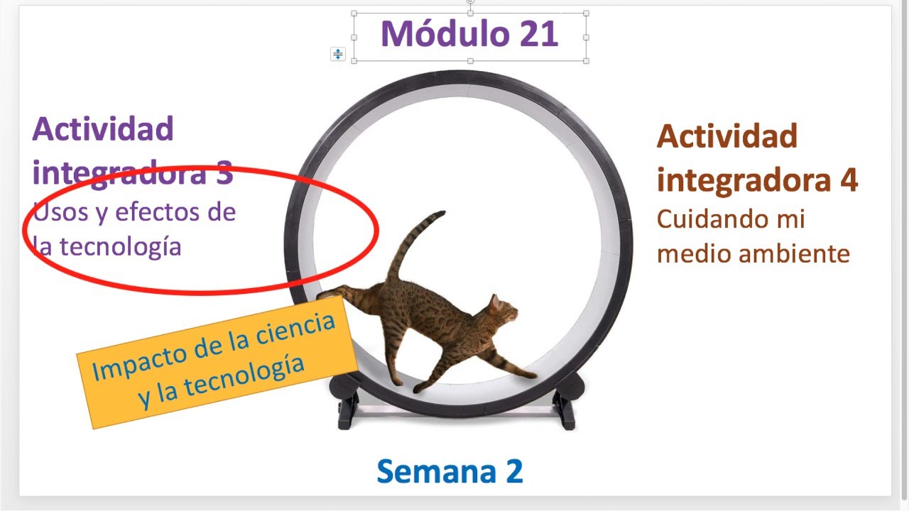 MÓDULO 21 ▶ Semana 2 ▶ Actividades integradoras 3 y 4