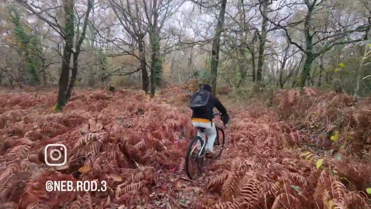 Test DJI Neo 2 : suivi vélo en forêt.VALIDÉ!